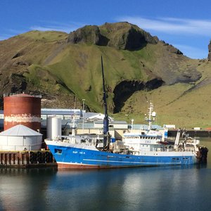 EUfishmeal warns of risk of losing certifications in the Northeast Atlantic