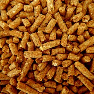 FDA proposes new rule for animal feed accreditation
