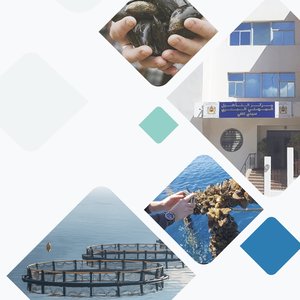 Norway and the Netherlands invest in Morocco aquaculture plan