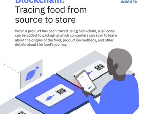 IBM blockchain technology for traceability of the Norwegian seafood supply chain