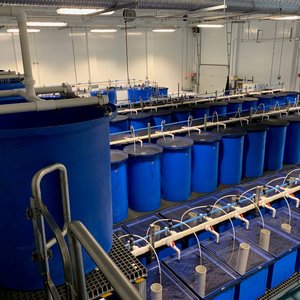 ADM opens aquaculture innovation lab in North America