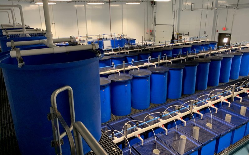 ADM opens aquaculture innovation lab in North America