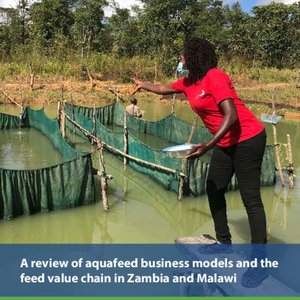 A review of aquafeed value chain in Zambia and Malawi