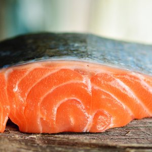 New study on the impact of innovative oils on salmon health