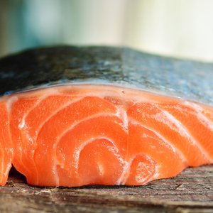 New study on the impact of innovative oils on salmon health