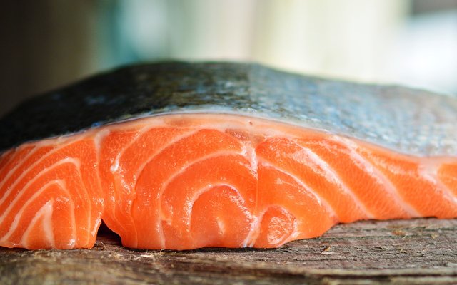New study on the impact of innovative oils on salmon health