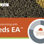 Alltech introduces new model to measure feed carbon footprint