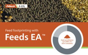 Alltech introduces new model to measure feed carbon footprint