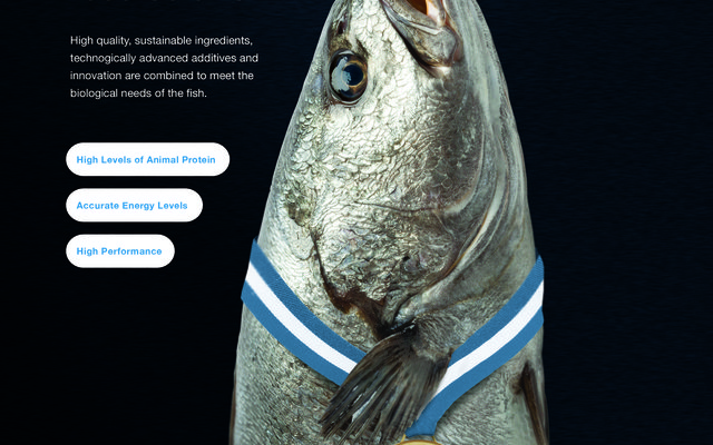 Aquasoja updates meagre feed