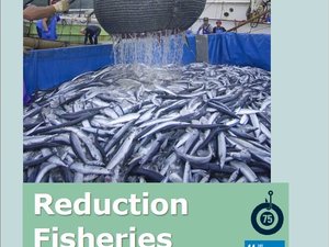 SFP 2021 Reduction Fisheries Report: Has a decade of improvements hit a plateau?