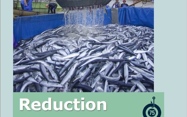 SFP 2021 Reduction Fisheries Report: Has a decade of improvements hit a plateau?