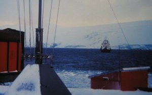 Is the Antarctic krill fishery doomed to fail?