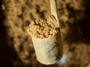 IFFO reports increased year-on-year fishmeal production in 2020