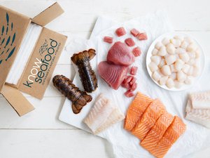 Sustainable algae-fed salmon available across all 50 US states for the first time