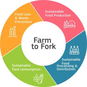 FEFAC concerns on the new EU strategy for sustainable food systems