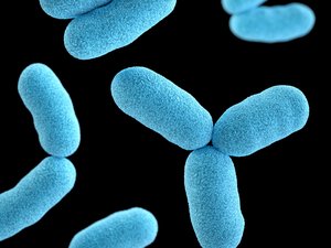 Danish startup raises 7 million to develop biological solutions to reduce AMR risk