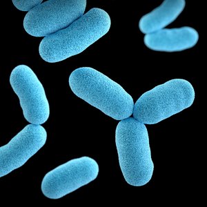 Danish startup raises 7 million to develop biological solutions to reduce AMR risk