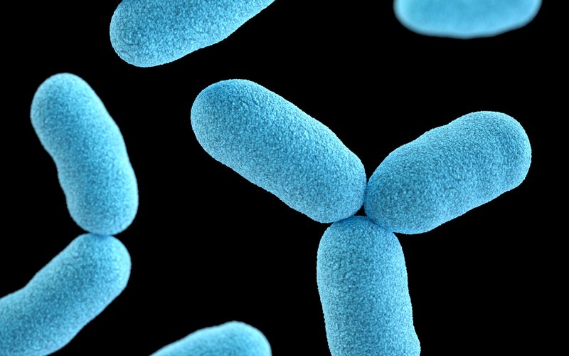 Danish startup raises 7 million to develop biological solutions to reduce AMR risk