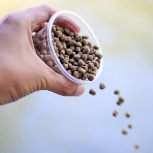 BAP releases new feed mill standard