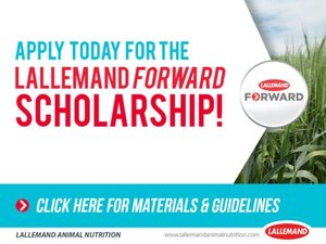 Lallemand accepting applications for Forward scholarship