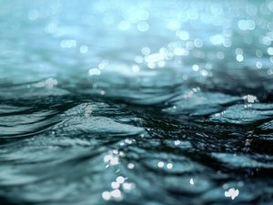 Join a free webinar on Pincoy Projects good practice manual for salmon