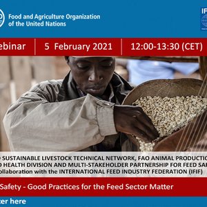 Join IFIF/FAO webinar on good practices for the feed sector