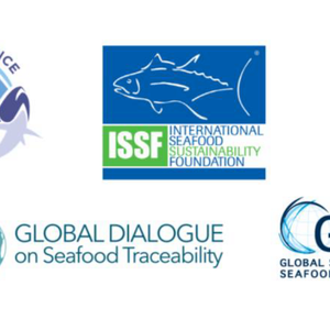 Seafood metacoalition calls for action to combat illegal fishing