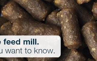 Register for Bühler feed milling webinar