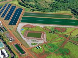 US project uses flue gas and wastewater to make algae for animal feed