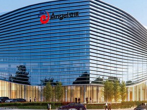 Angel Yeast to push industrialization of yeast protein