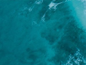 Skrettings 2019 sustainability report