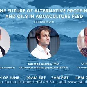 The future of alternative proteins and oils in aquaculture feeds - webinar: June 15