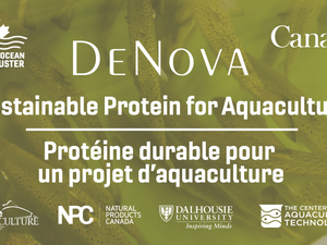 New Canadian project to produce sustainable protein for aquafeeds