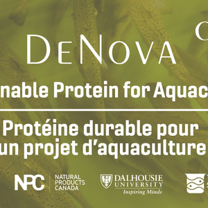 New Canadian project to produce sustainable protein for aquafeeds