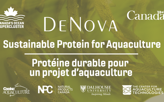New Canadian project to produce sustainable protein for aquafeeds