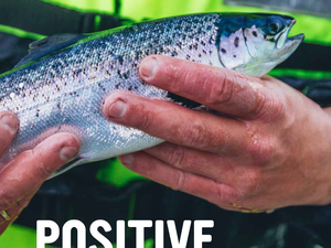 ASC reports the impact of certified responsible aquaculture