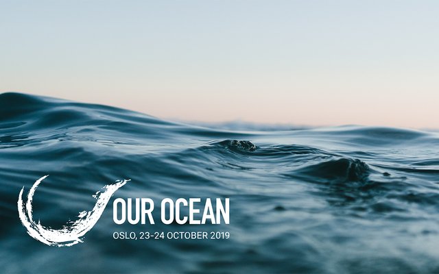 Skretting commits to develop alternative ingredients for aquaculture feed