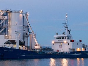 Pelagia acquires 100% of Hordafor