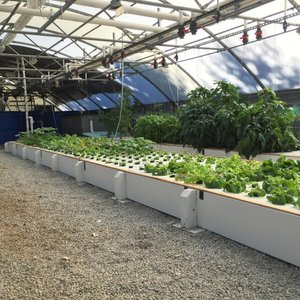 Namibia to build one of Africas largest aquaponics farms