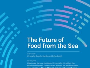 Oceans could be key to future food security