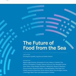 Oceans could be key to future food security