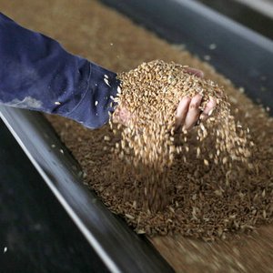 Cereal output expected to reach an all-time high
