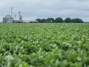 Global soy exporters adopt new method to eliminate deforestation in Brazils Cerrado region