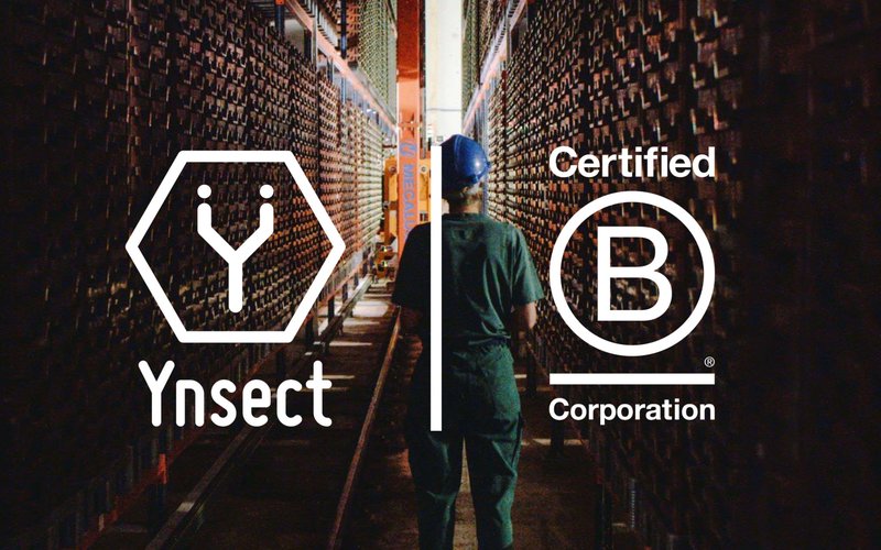 New certification for nsect with new social and environmental commitments