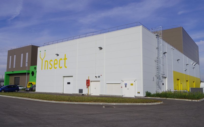 nsect accelerates its international expansion