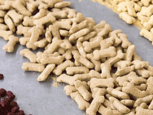 Register for Practical Short Course on Extruded Pet Foods
