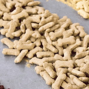 Register for Practical Short Course on Extruded Pet Foods