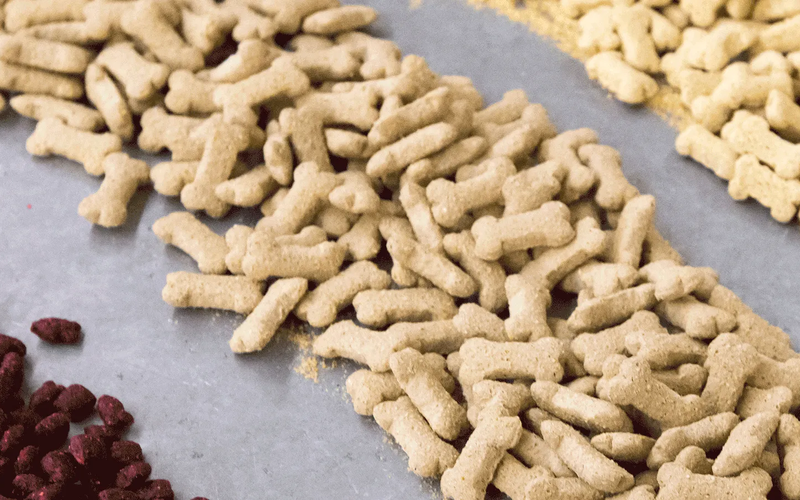 Register for Practical Short Course on Extruded Pet Foods
