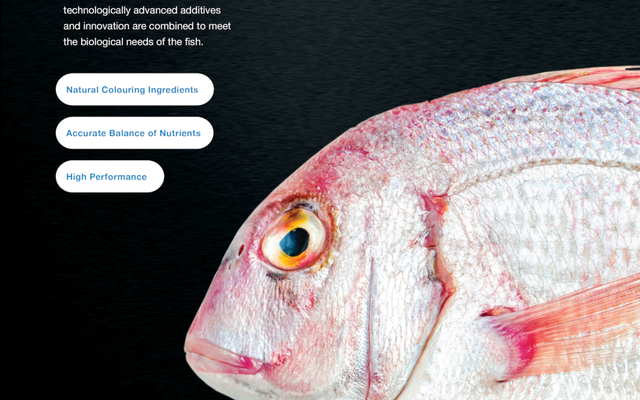 Aquasoja develops feed for a colorful red porgy