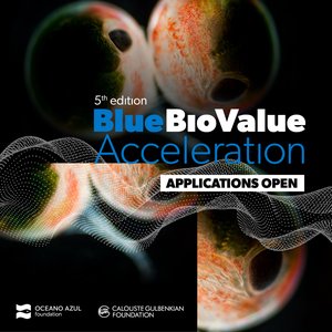 Open call for startups to apply for Blue Bio Value Acceleration